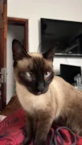 Ellie