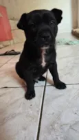 Frederico