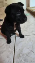 Frederico