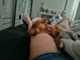 Nala
