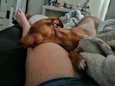 Nala