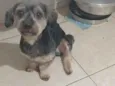 marley