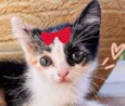 Tina