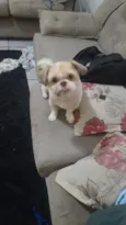 Chase