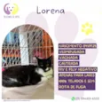 Lorena