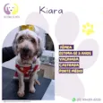 Kiara