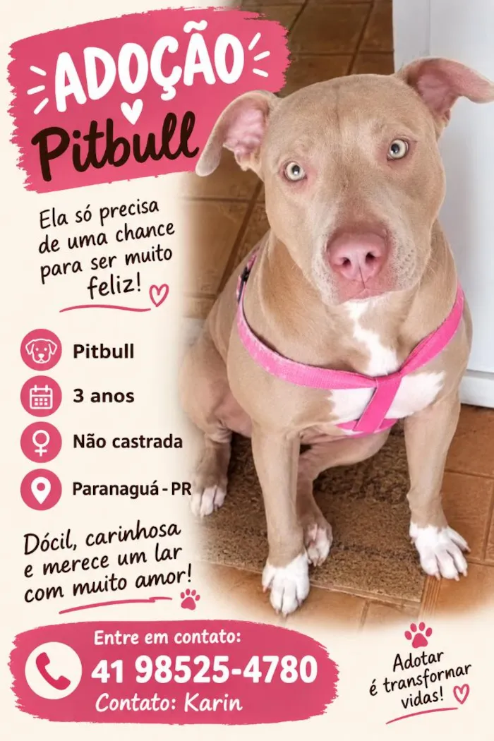 Cachorro raça Pit-Bull idade 3 anos nome akira