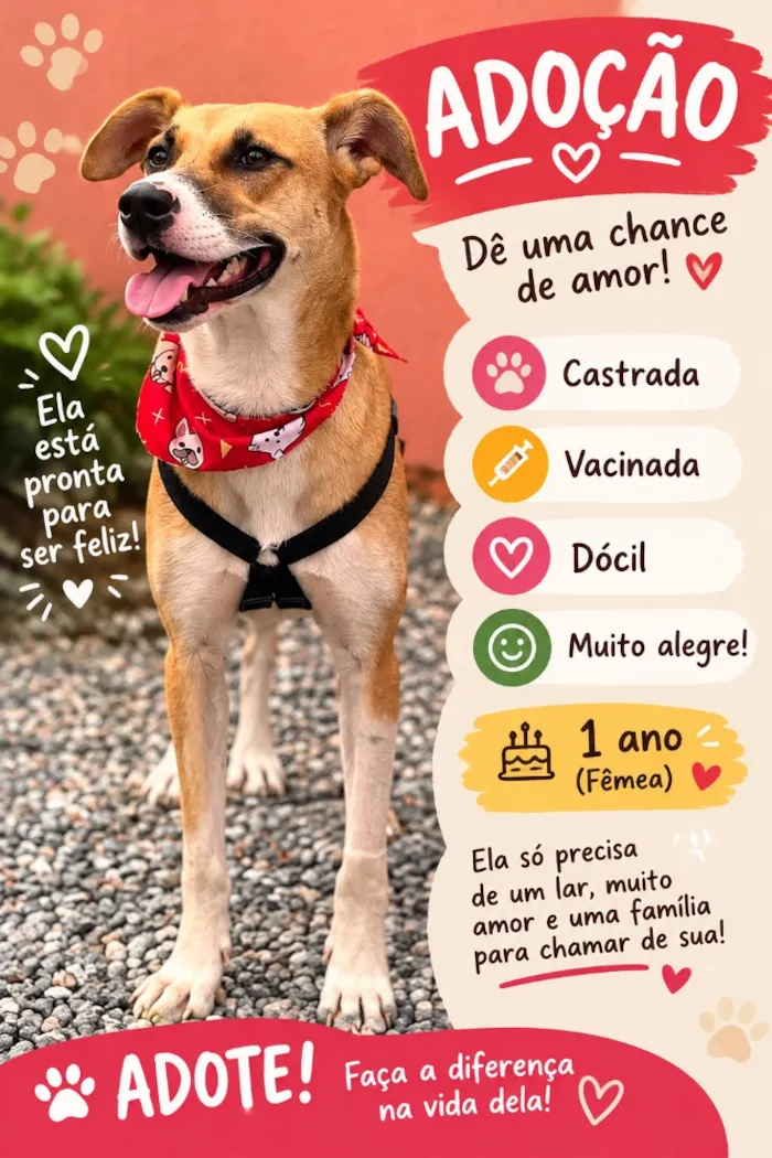 Cachorro raça SRD-ViraLata idade 1 ano nome Nina