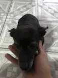 Belinha