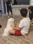 Ted