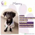 Manny