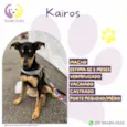 Kairós