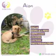 Aion