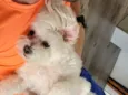 Ted