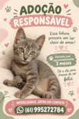 sem nome 