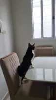 Duke