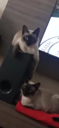 lua e sol