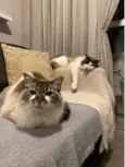 Michele e Bruno 