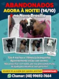 Los t