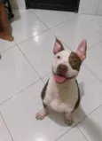 Naru