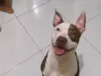 Naru