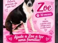 Zoe