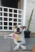 Princesa