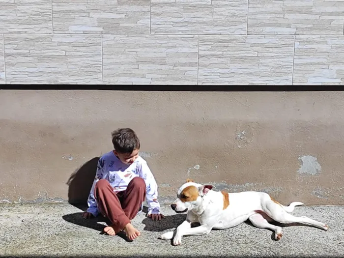 Cachorro raça SRD-ViraLata idade 3 anos nome Princesa