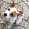 Princesa