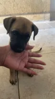 Kiara