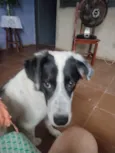 Fred