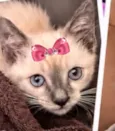 Nina