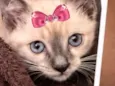 Nina