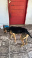 big 