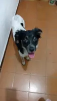Paçoca