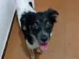 Paçoca