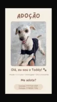 Toddy