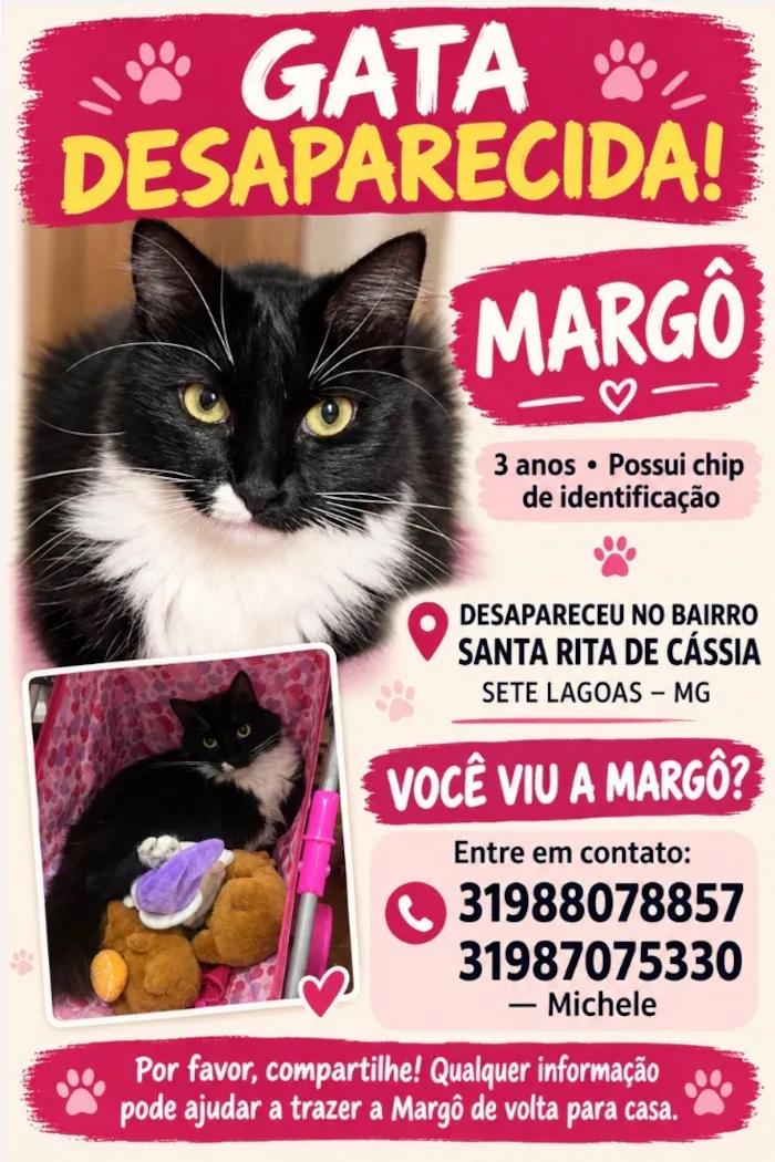 Gato raça SRD-ViraLata idade 3 anos nome Margô