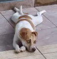 Luna Bella