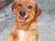 Marley
