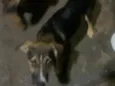 não tem nome 
