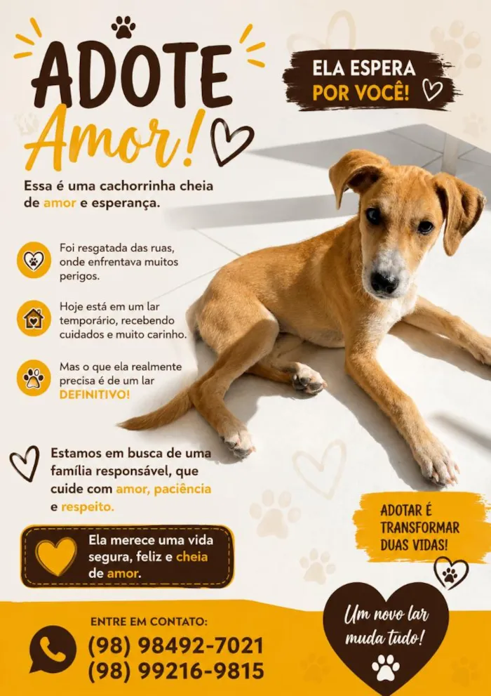 Cachorro raça SRD-ViraLata idade 7 a 11 meses nome Odara