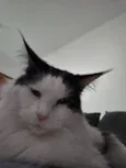 Paul