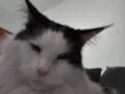 Paul
