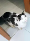 Paul