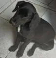 Princesa