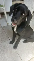 Princesa