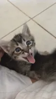 Nala e Nico 