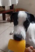 Billy