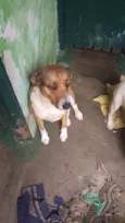Maia Luna e totosa